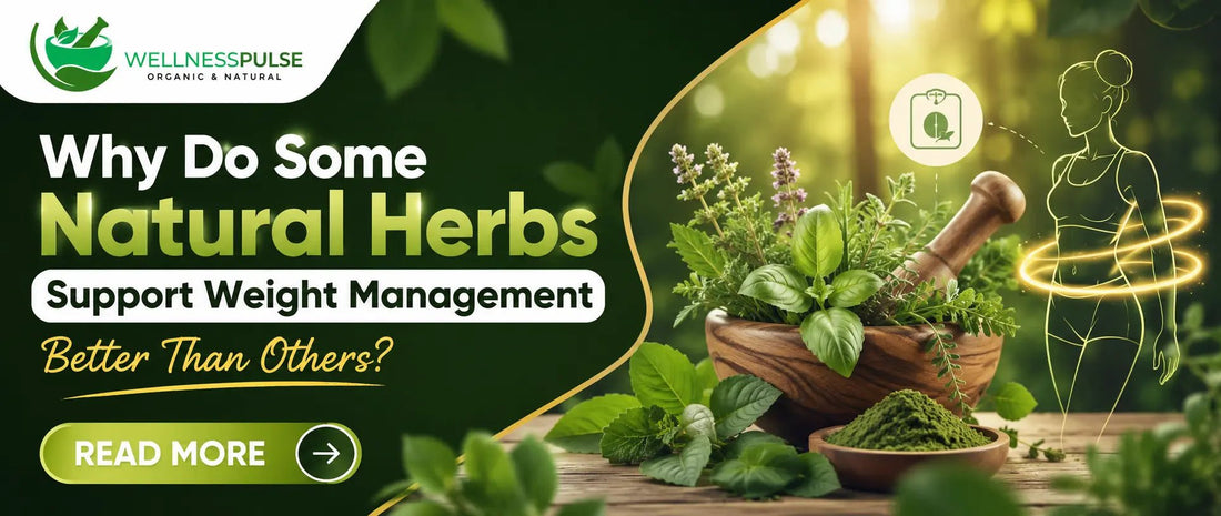 Why Do Some Natural Herbs Support Weight Management Better Than Others? - Wellness Pulse | Your Daily Essentials
