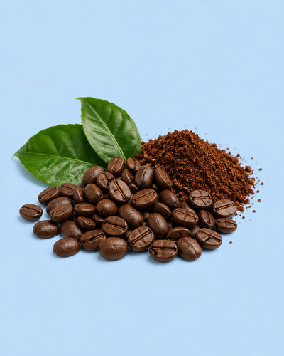 Coffee Extract